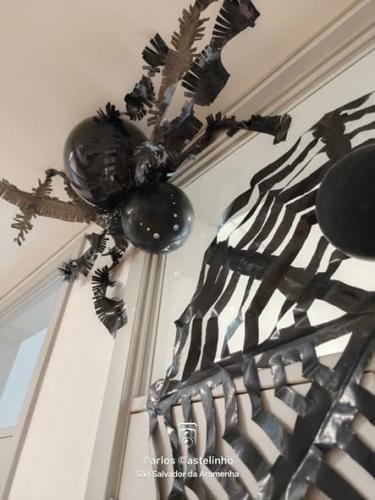 571219177 1260897116079063 7144887611278194555 n